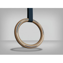 Кольца гимнастические с тросом 2 метра