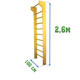 Стенка 2,6х1м с выносом (гимнастическая, шведская)